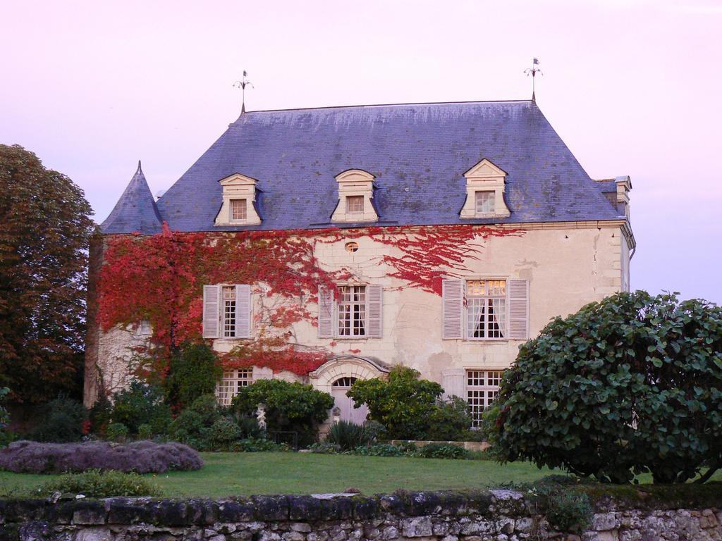 Gite Chateau De Chaintres Dampierre-sur-Loire Rum bild
