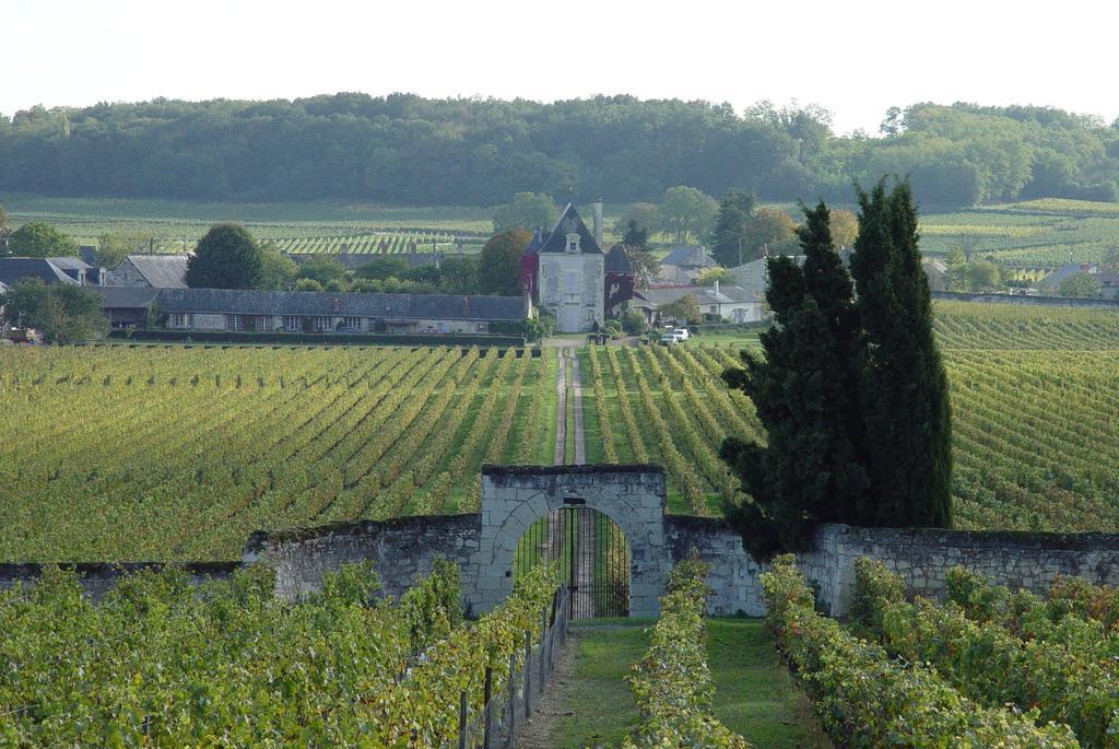 Gite Chateau De Chaintres Dampierre-sur-Loire Rum bild