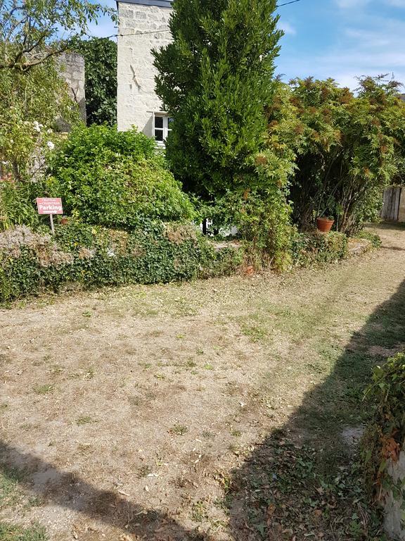Gite Chateau De Chaintres Dampierre-sur-Loire Exteriör bild